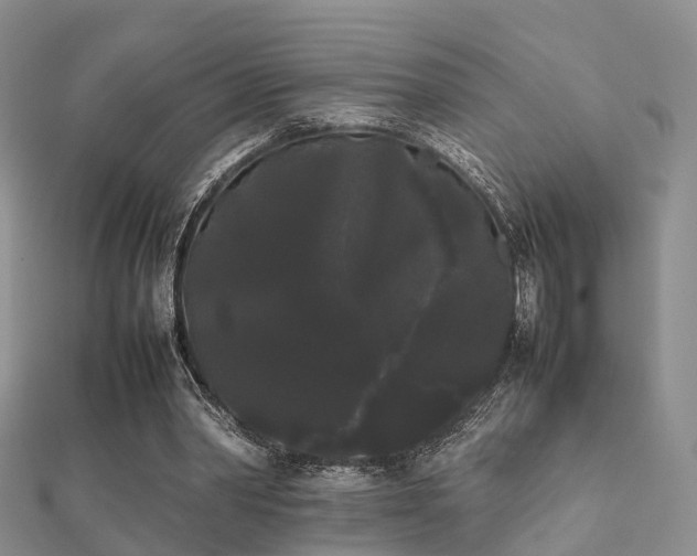 X0000112070390200908111438