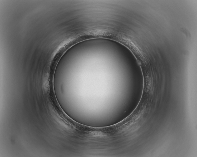 X0000112070392200908111438