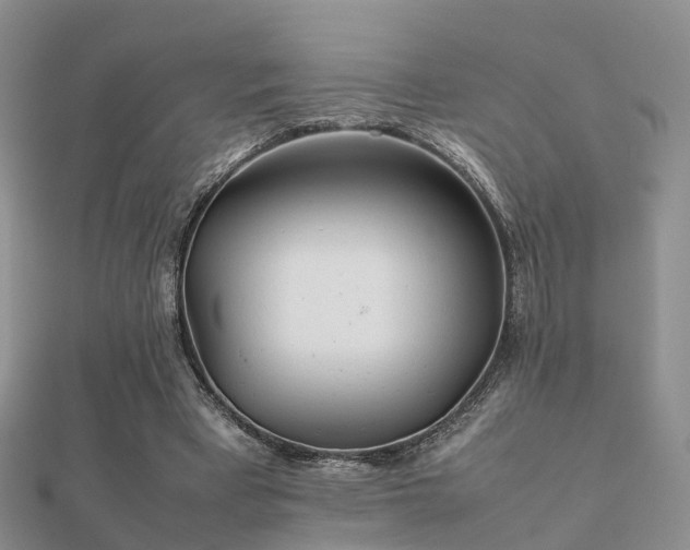 X0000112070393200908111438