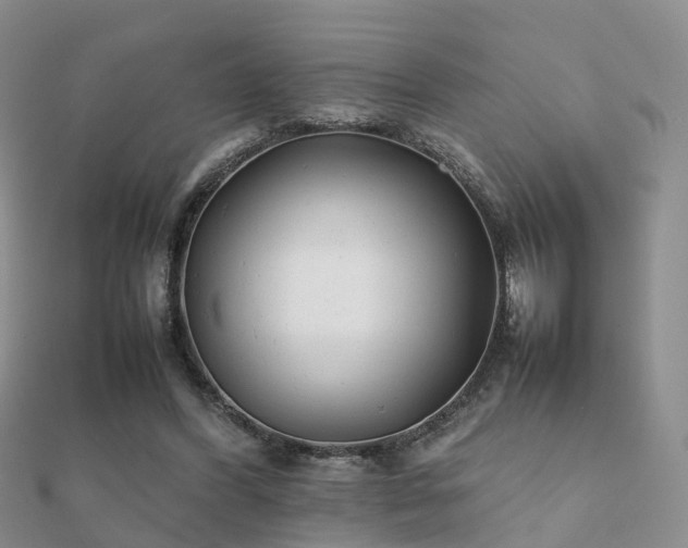 X0000112070396200908111438