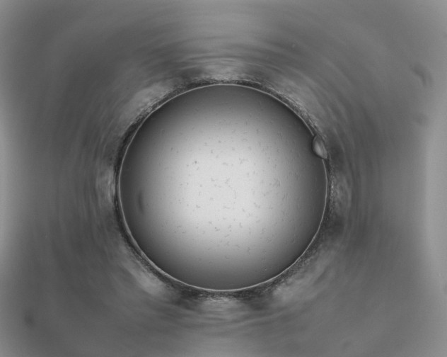 X0000112070397200908111437