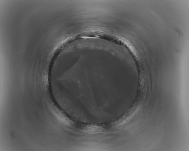 X0000112070399200908111437