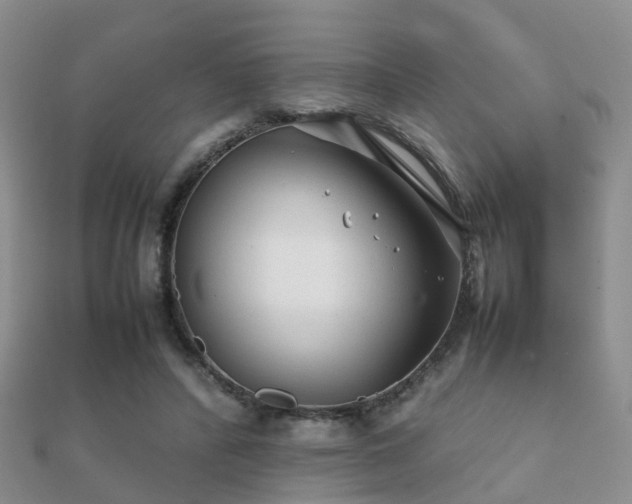 X0000112070400200908111437