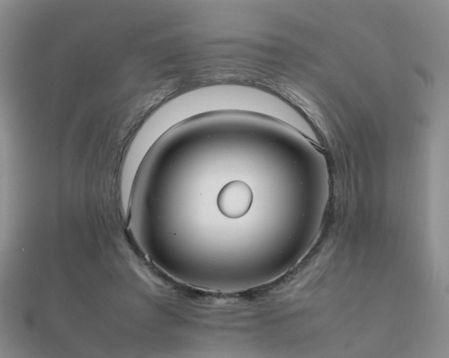 X0000112070401200908111437