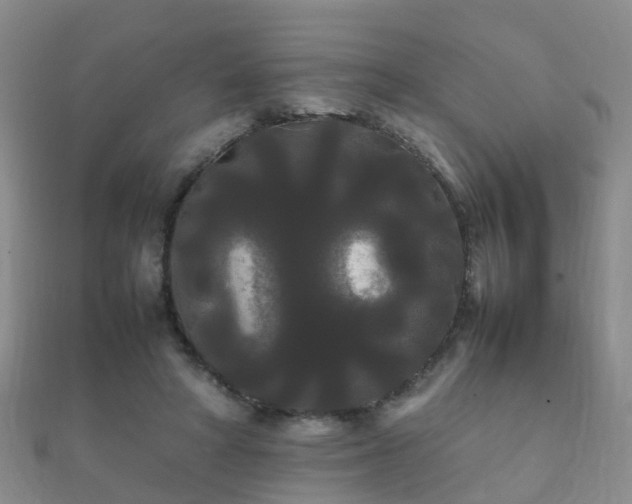 X0000112070402200908111437