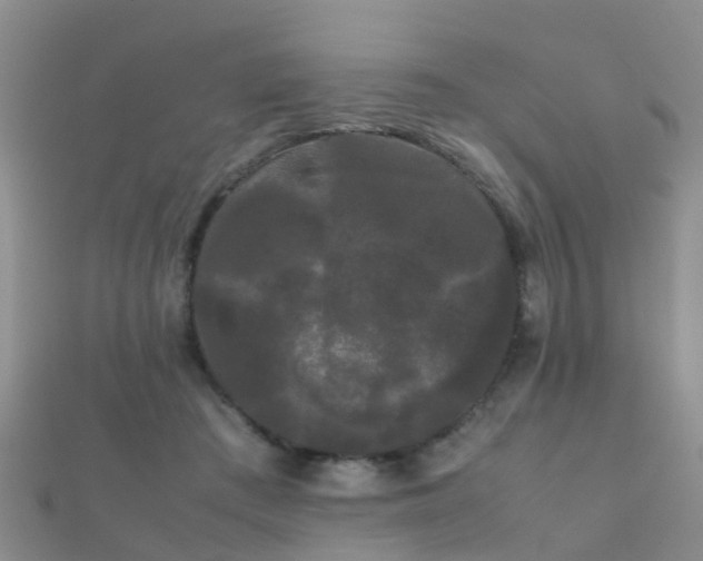 X0000112070409200908111437