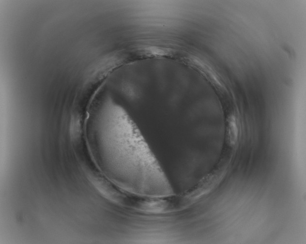 X0000112070410200908111437