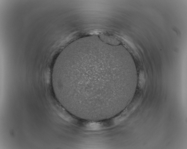 X0000112070413200908111437