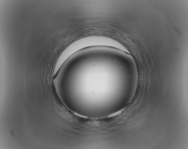 X0000112070419200908111437