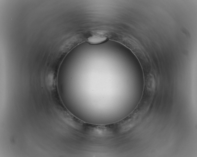 X0000112070420200908111437