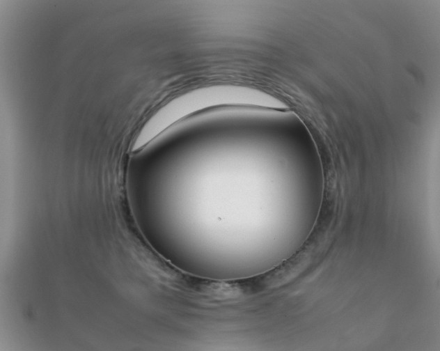 X0000112070421200908111437