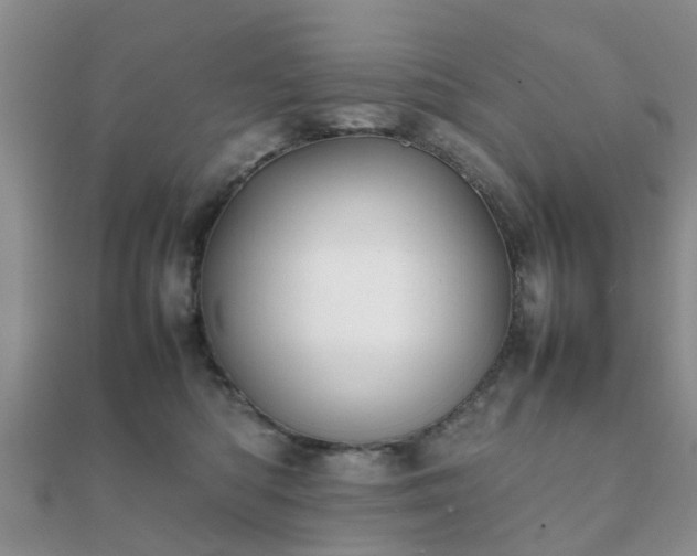 X0000112070422200908111437