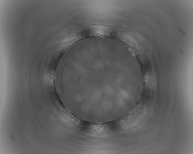 X0000112070423200908111437