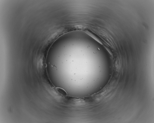 X0000112070424200908111437