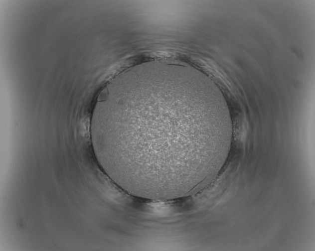 X0000112070425200908111437