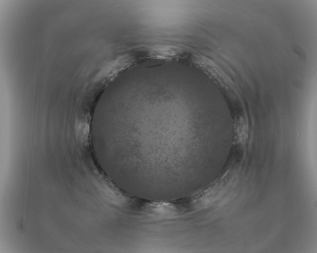 X0000112070427200908111437