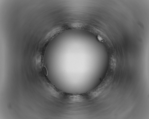 X0000112070428200908111437