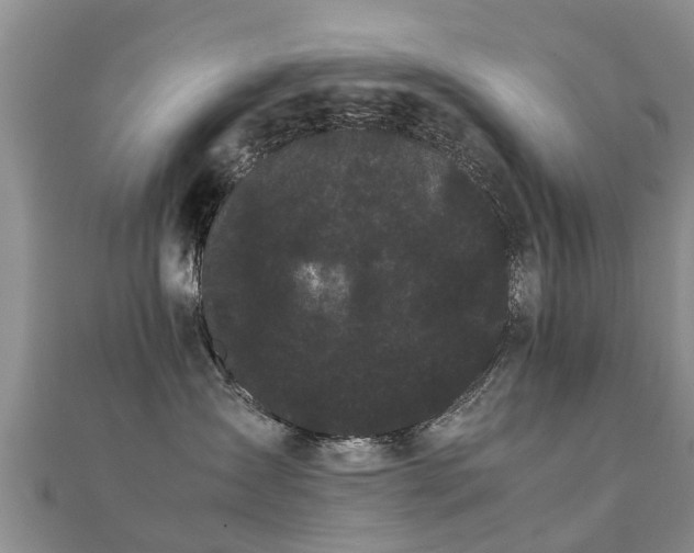 X0000112070431200908111437