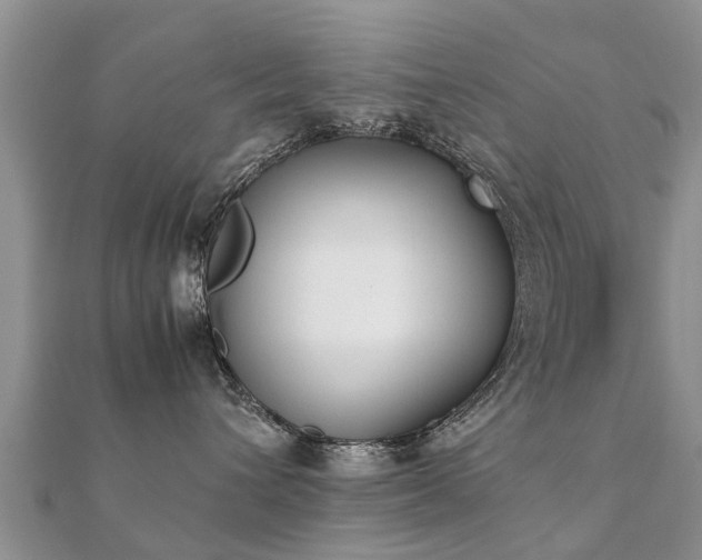 X0000112070432200908111437