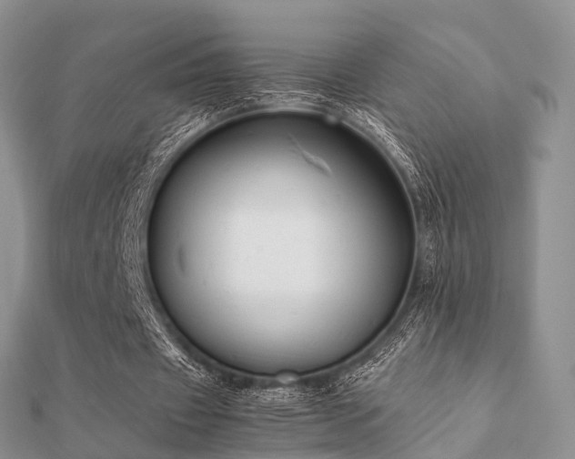 X0000112070433200908111436