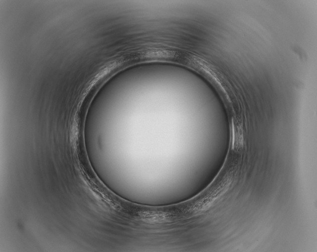 X0000112070435200908111436