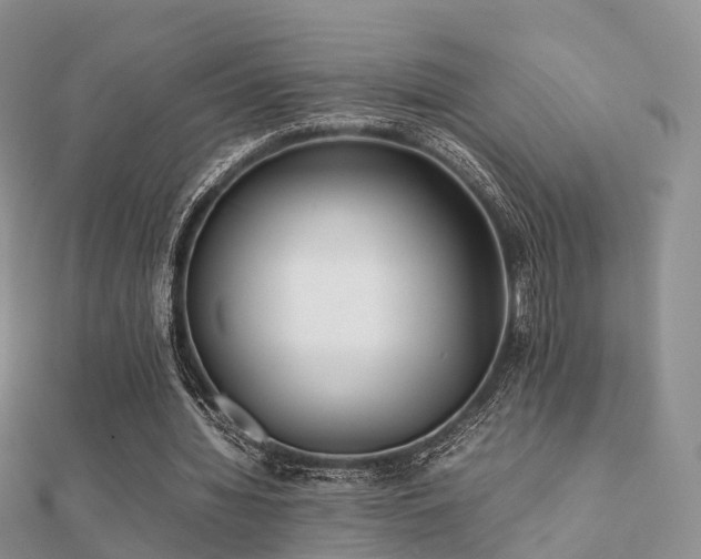 X0000112070436200908111436