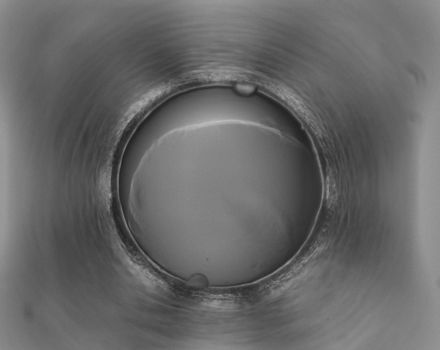 X0000112070438200908111436