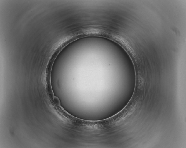 X0000112070439200908111436