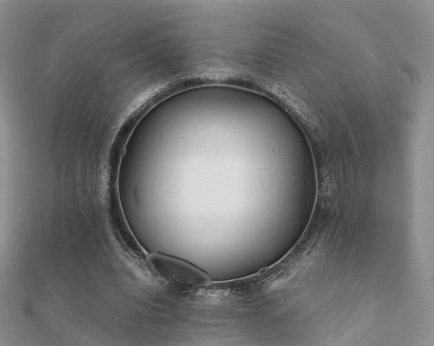 X0000112070440200908111436