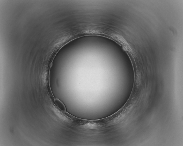 X0000112070441200908111436