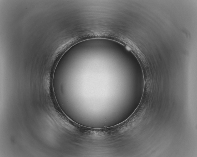 X0000112070442200908111436