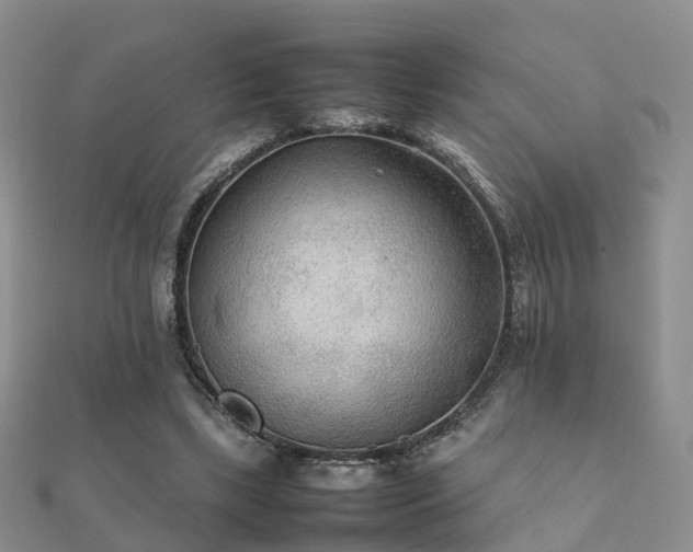 X0000112070443200908111436