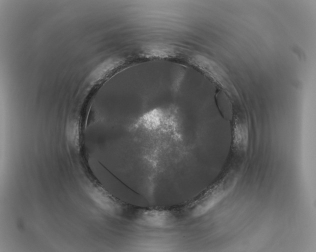 X0000112070444200908111436