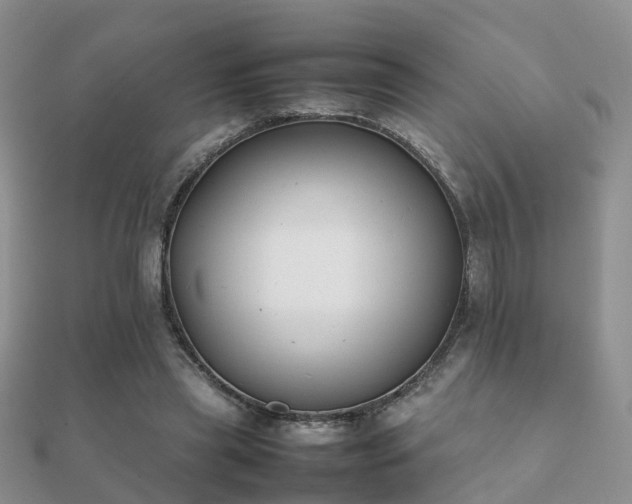 X0000112070445200908111436