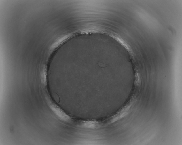 X0000112070446200908111436