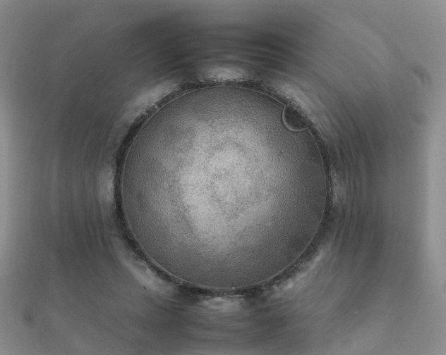 X0000112070447200908111436