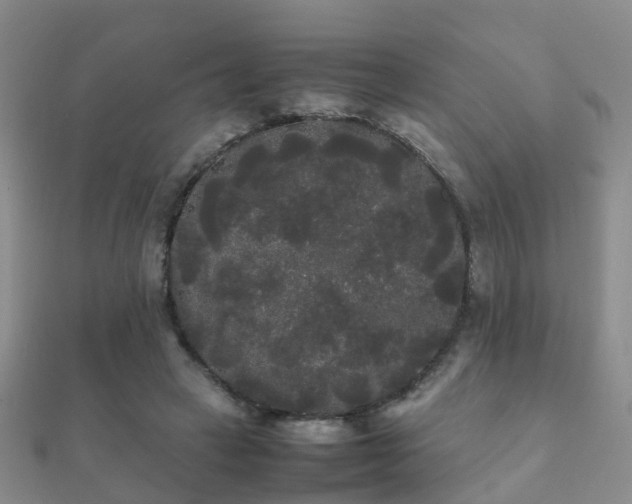 X0000112070449200908111436