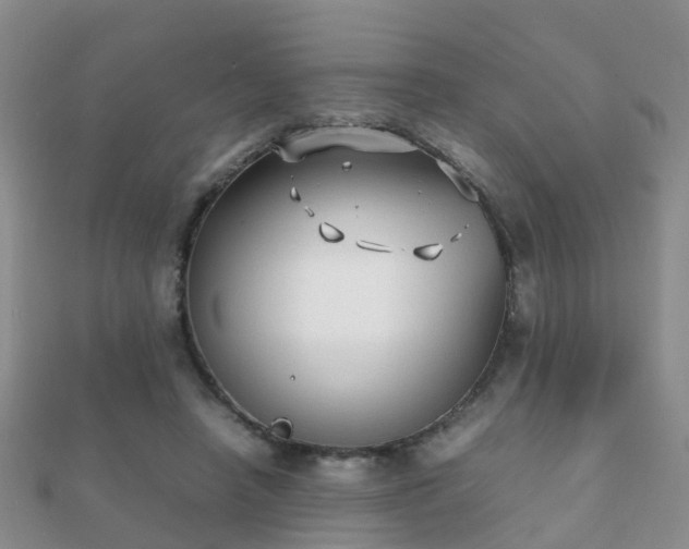 X0000112070450200908111436