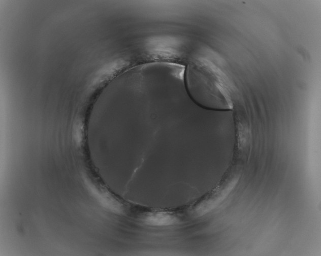 X0000112070451200908111436