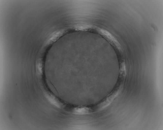 X0000112070452200908111437