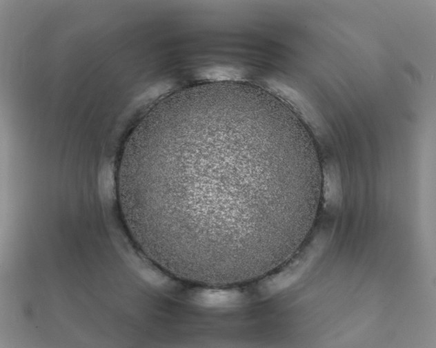 X0000112070453200908111437