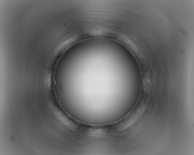 X0000112070454200908111437