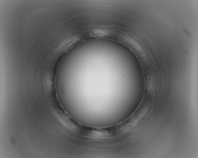 X0000112070455200908111437