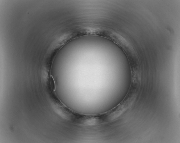 X0000112070456200908111437