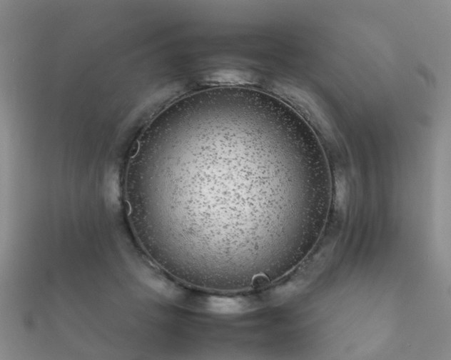 X0000112070457200908111437