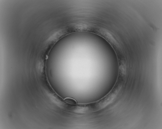 X0000112070458200908111437