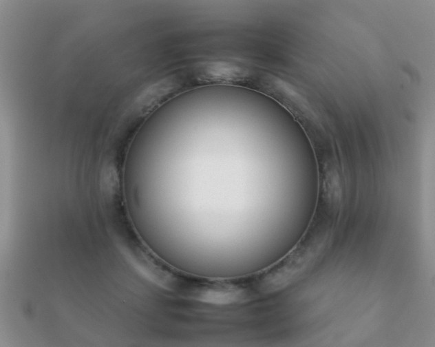 X0000112070459200908111437