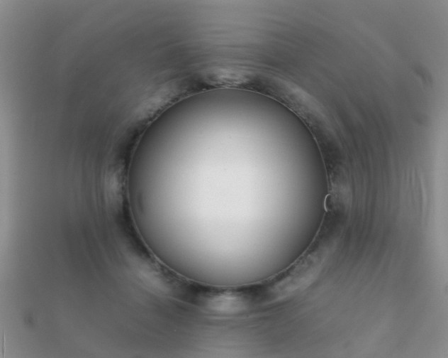 X0000112070460200908111437