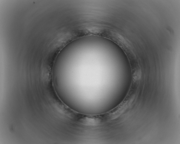 X0000112070464200908111437