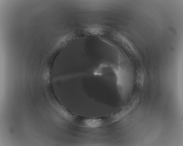 X0000112070465200908111437